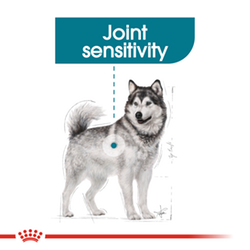 Royal Canin MAXI JOINTCARE  - храна за кучета с чувствителни стави 10кг