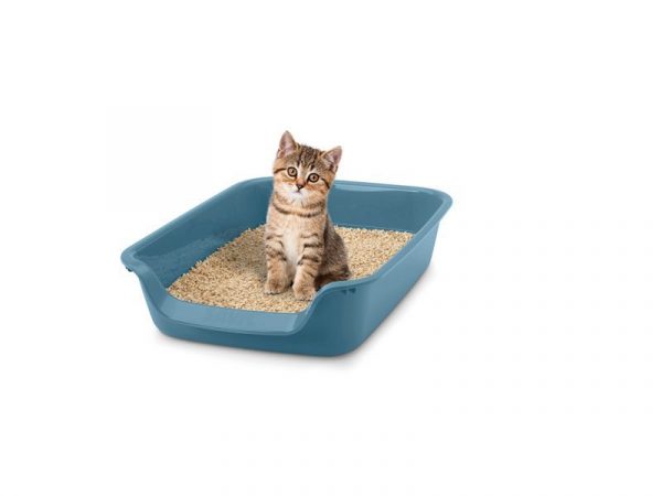 Тоалетна за малки кученца и котки  Junior 56 x 39 x13см - Image 3