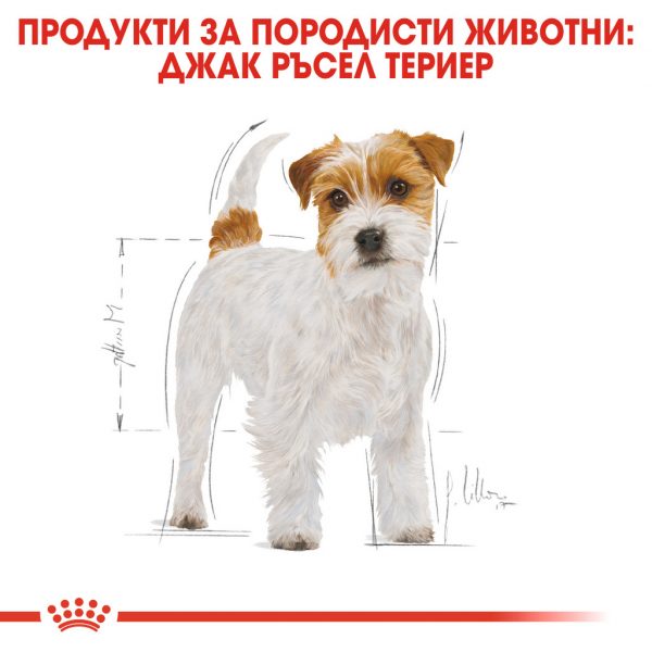 Royal Canin JACK RUSSEL TERRIER ADULT храна за Джак ръсел, 1.5 кг