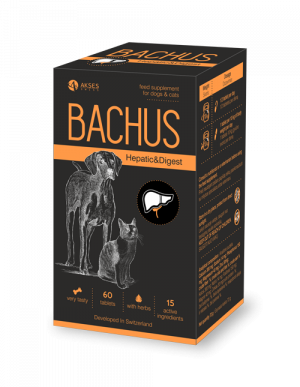 Bachus добавка за черен дроб и храносмилане 60 табл