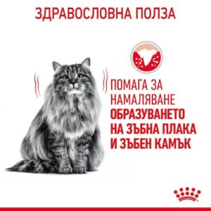 Royal Canin- DENTAL CARE  храна за котка  за добра устна хигиена