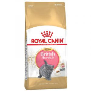 Royal Canin- BRITISH SHORTHAIR KITTEN - за Британска котка до 12м