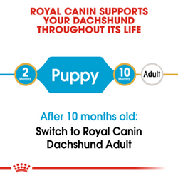 Royal Canin за Дакел Puppy 1.5кг