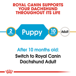 Royal Canin- DACHSHUND PUPPY - суха храна за подрастващи кучета от порода Дакел  1.5кг