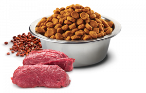 N&D Quinoa Skin & Coat Venison, Coconut Mini –  за кучета в зряла възраст от дребни породи за здрава кожа и козина с еленово месо, кокос и куркума