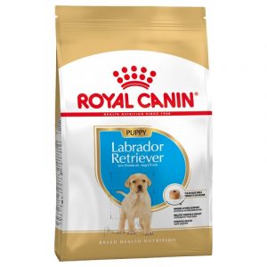 Royal Canin- GOLDEN RETRIEVER PUPPY Храна за подрастващи кучета Лабрадор Ретривър
