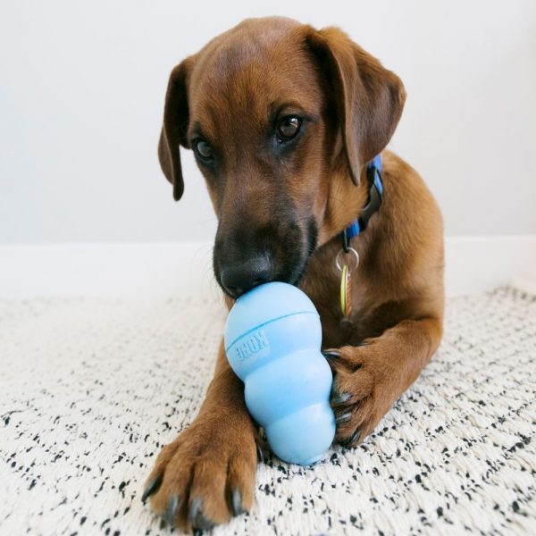 Kong играчка Puppy Размер М