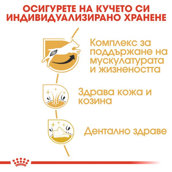 Royal Canin JACK RUSSEL TERRIER ADULT храна за Джак ръсел, 1.5 кг - Image 4