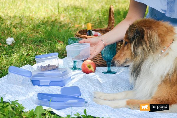 Ferplast Pet Risto Комплект купи за път, 1 л - Image 10