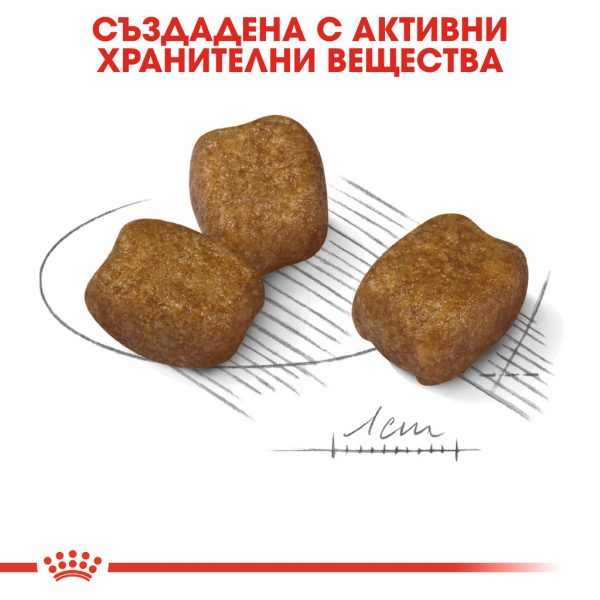 Royal Canin - MINI DENTAL CARE , за кучета от дребните породи с чувствителни зъби - Image 6