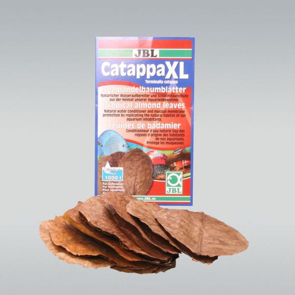 JBL CATAPPA XL+ Листа от тропически бадем
