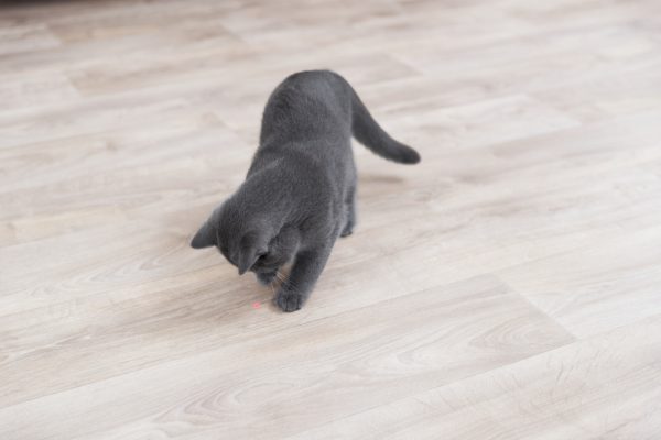 Trixie лазер за стена - Image 5