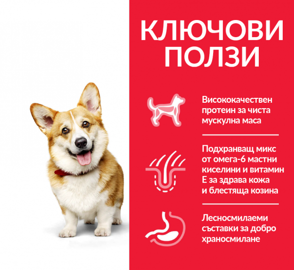 Hill's SP Adult Small&Mini Chicken- храна за кучета от дребните породи с пиле