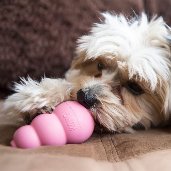Kong играчка за малки кученца  Puppy Размер S - Image 5