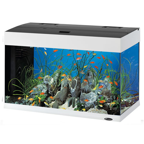 Dubai 80 LED оборудван аквариум, 125 л
