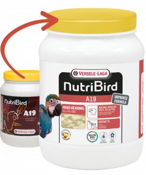 NutriBird A 19 храна за ръчно хранене на папагали, 800 гр