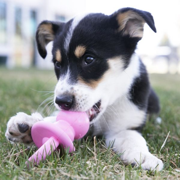 Kong играчка за куче Puppy Binkie™ S, Биберон - Image 3