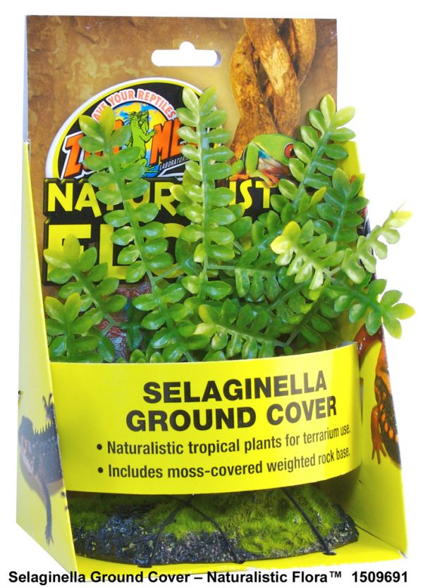 Zoo Med Sеlaginella Graund Cover Реалистични изкуствени растения за терариум - Image 2