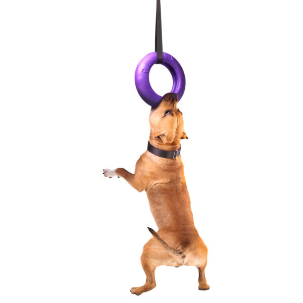 Puller - тренировъчна играчка ринг за куче 2бр
