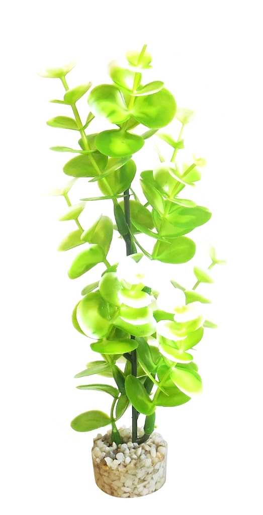 Sydeco Изкуствено растение BIO Aqua Eucalyptus, 23 см