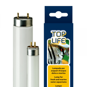 TOPLIFE 14W LAMP T8 - неонова лампа с естествена светлина, 36 см