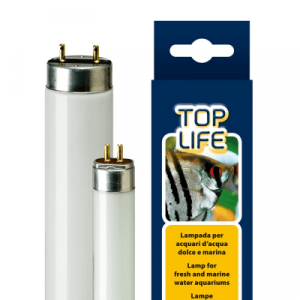 TOPLIFE 14W LAMP T8  - неонова лампа с естествена светлина, 36 см