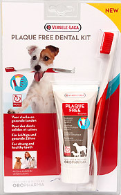 Dental Care kit- коплект четка и паста за зъби
