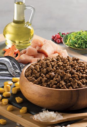 BonaCibo Kitten с пиле, аншоа и ориз-1.5кг
