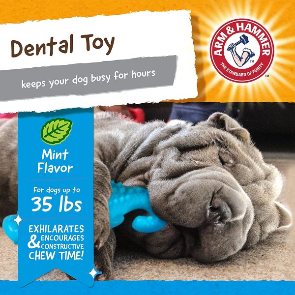 Arm&Hammer Gator - крокодил с аромат на мента - Image 3