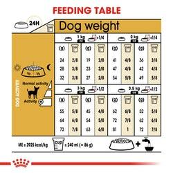 Royal Canin Chihuahua Adult за Чухуахуа над 8 месеца