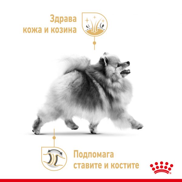 Royal Canin -POMERANIAN ADULT суха храна за померани в зряла възраст