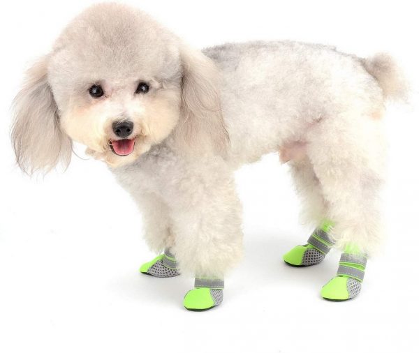 Обувки за кучета в розово и зелено S-XL