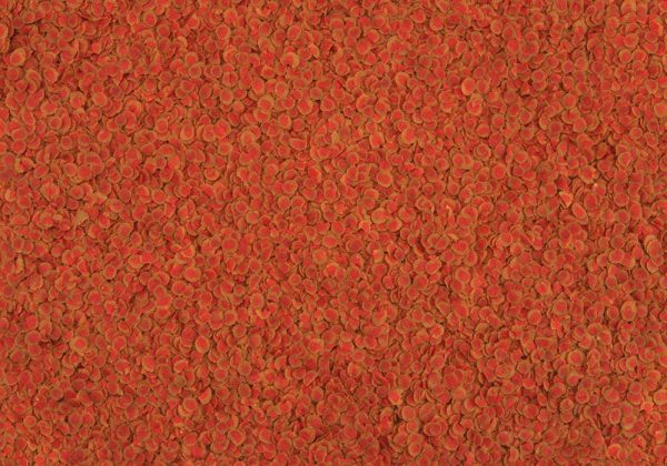 Tetra PRO COLOR Multi Cirisps 10L – храна на чипс - Image 2