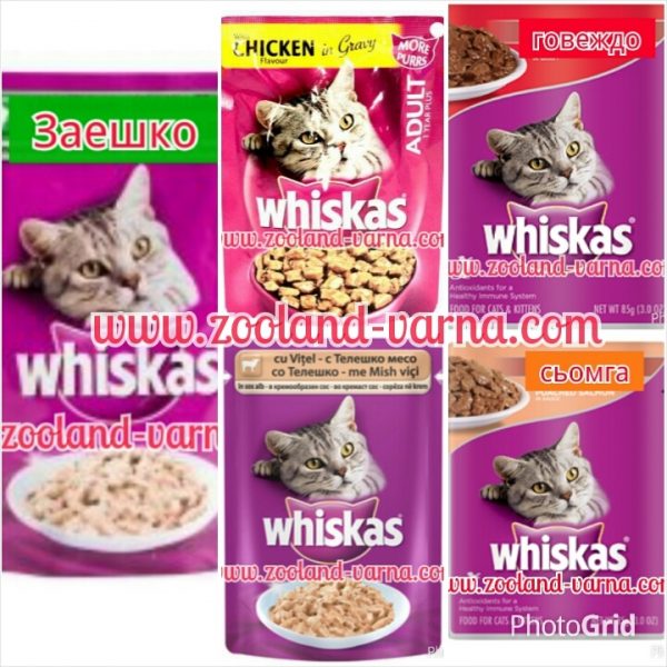 Whiskas pouch 100 гр. хапки в сос, ВСИЧКИ ВИДОВЕ