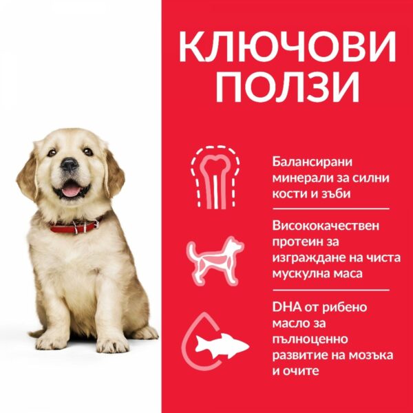 HILL`S SP Puppy Large Breed Chicken - суха храна за подрастващи кучета от големите породи с пиле - Image 3