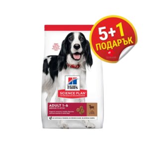 Hill’s Medium Adult Lamb & Rice – Храна за кучета с Агне за лесно храносмилане