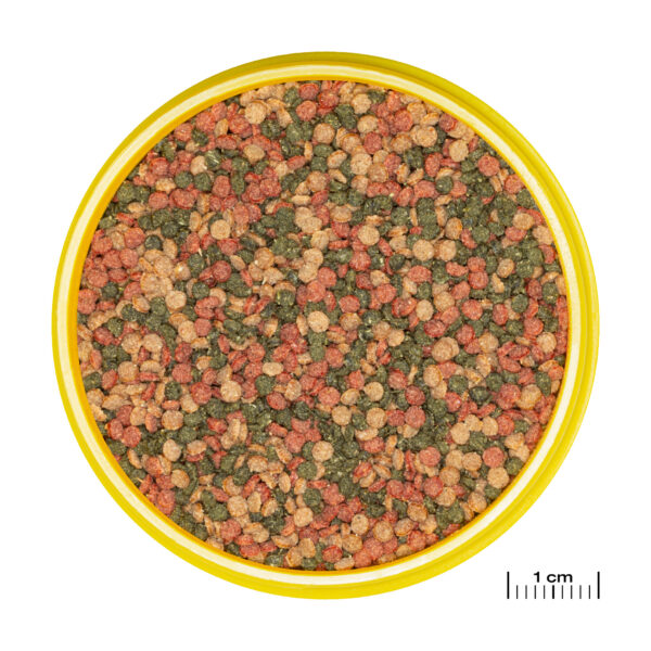 JBL PRONOVO BEL GRANO- храна за различни малки рибки в общ аквариум - Image 11