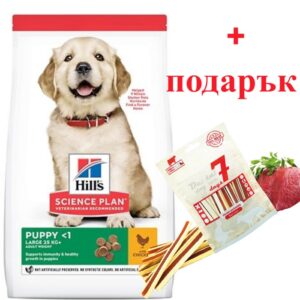 HILL`S SP Puppy Large Breed Chicken - суха храна за подрастващи кучета от големите породи с пиле