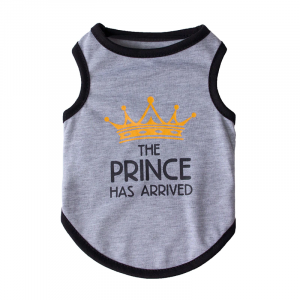 Потник PRINCE