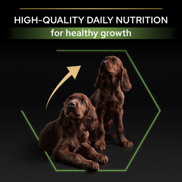 Pro Plan Large Athletic Puppy с OPTISTART®, богата на пиле 12 кг - Image 5