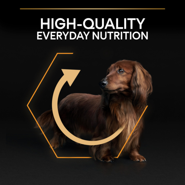 Pro Plan Small&Mini Adult - храна за кучета над 1г от дребните породи с пиле 3 кг - Image 5
