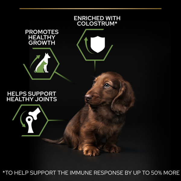 Pro Plan Small&Mini Puppy Chicken - храна за подрастващи кучета богата на пиле 700 гр - Image 6