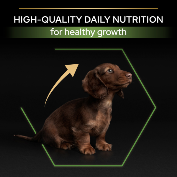 Pro Plan Small&Mini Puppy Chicken - храна за подрастващи кучета богата на пиле 700 гр - Image 4