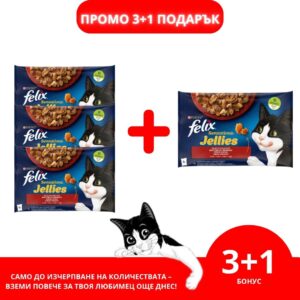 Purina Felix Sensations – Мокра храна в пауч за котки Вкусове от фермата в желе 4x85 г