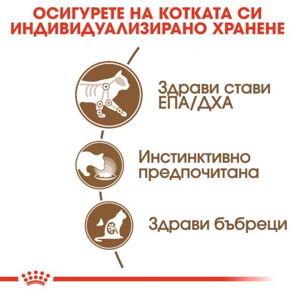 Royal Canin- AGEING 12+- паучове за котки над 12 години 85 гр - Image 4
