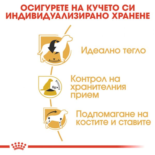 Royal Canin- BEAGLE ADULT храна за бигъл 3 кг - Image 3