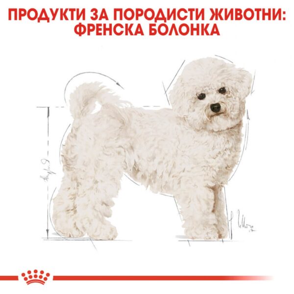 Royal Canin- BICHON FRISE ADULT храна за френски болонки 1,5кг - Image 6
