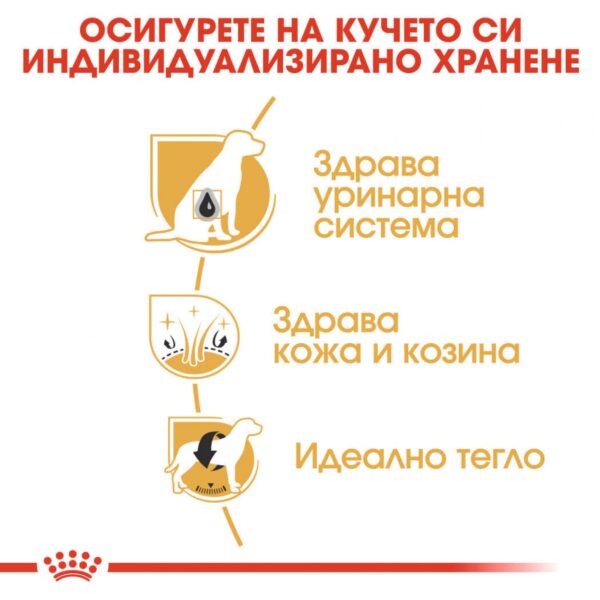 Royal Canin- BICHON FRISE ADULT храна за френски болонки 1,5кг - Image 4