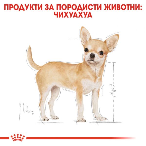 Royal Canin- CHIHUAHUA ADULT за Чухуахуа над 8 месеца 500гр - Image 6