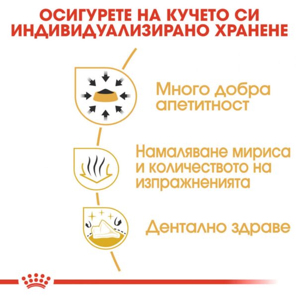 Royal Canin- CHIHUAHUA ADULT за Чухуахуа над 8 месеца 500гр - Image 3
